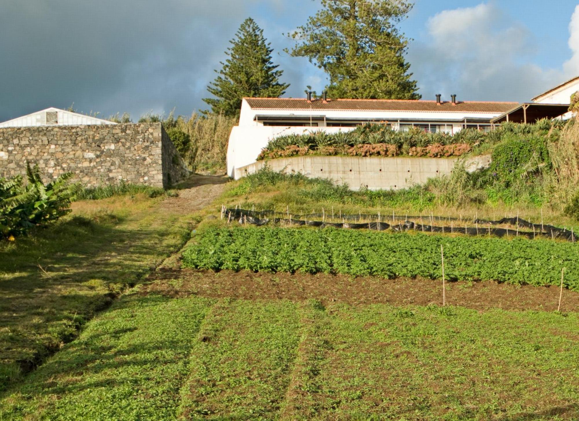 Qva - Quinta Velha Das Amoreiras Vila Franca do Campo Εξωτερικό φωτογραφία